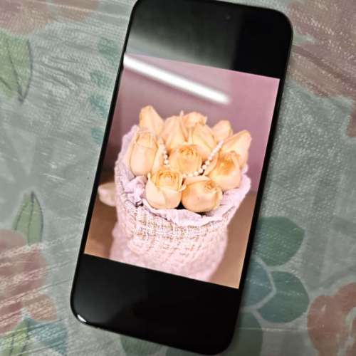 iPhone 15 Pro Max 原色鈦金屬 256GB 香港行貨