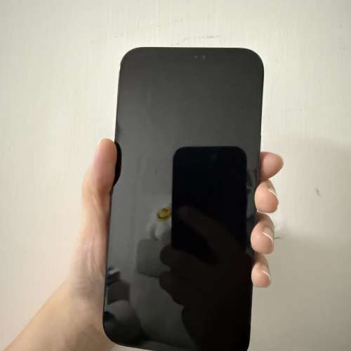 Apple iPhone 12 Pro Max 藍色 512G