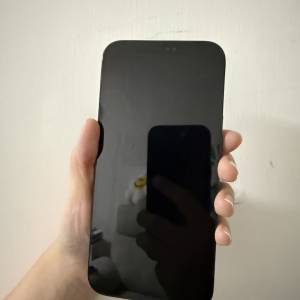 Apple iPhone 12 Pro Max 藍色 512G