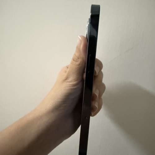 Apple iPhone 12 Pro Max 藍色 512G