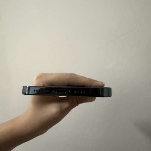 Apple iPhone 12 Pro Max 藍色 512G