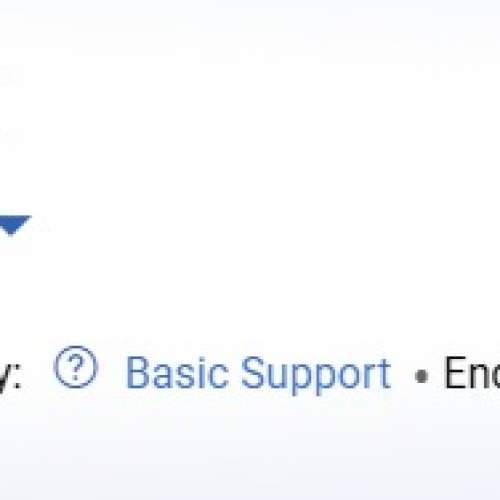 Dell P2422H 顯示器 有保養期到2026年4月