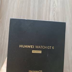 華為手錶gt6