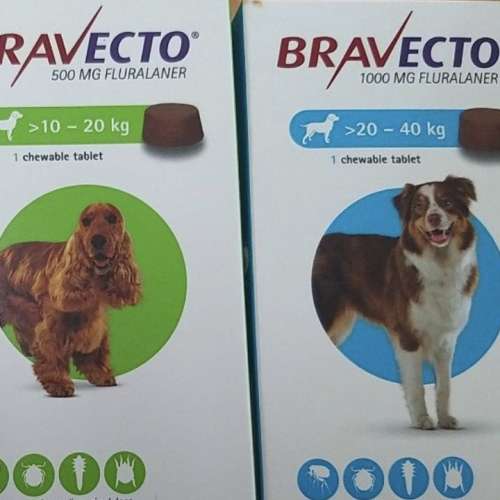 Bravecto for dog