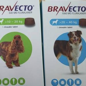 Bravecto for dog