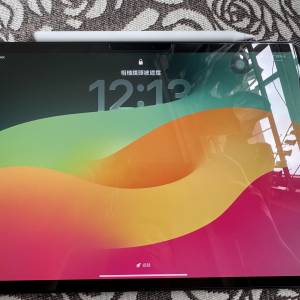 Apple iPad Pro m4 5G 連 Apple Pencil 256G