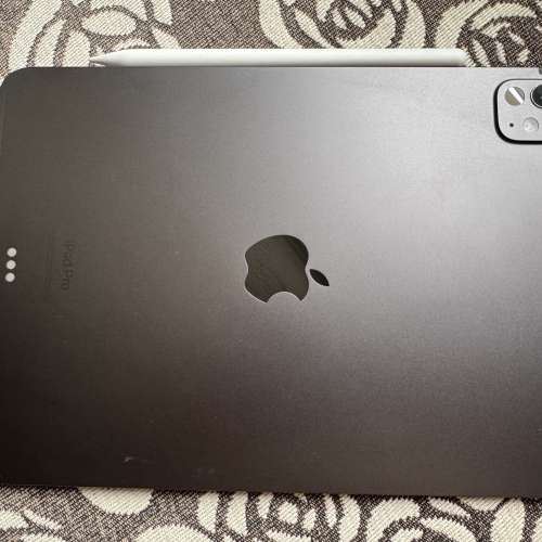 Apple iPad Pro m4 5G 連 Apple Pencil 256G