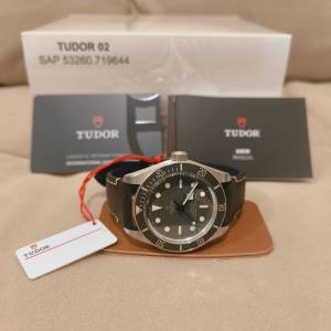 全新 帝舵Tudor BlackBay 58 925 純銀 M79010SG-0001