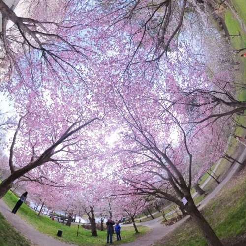 Insta360 X3 360 Action Camera