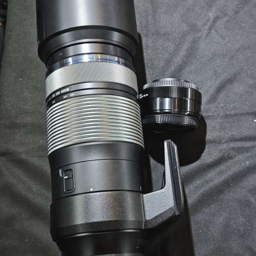 Olympus 100-400 is ED MSC M43 奧林巴斯 100mm 400mm 100 400 + MC20 MC-20 2x 增...