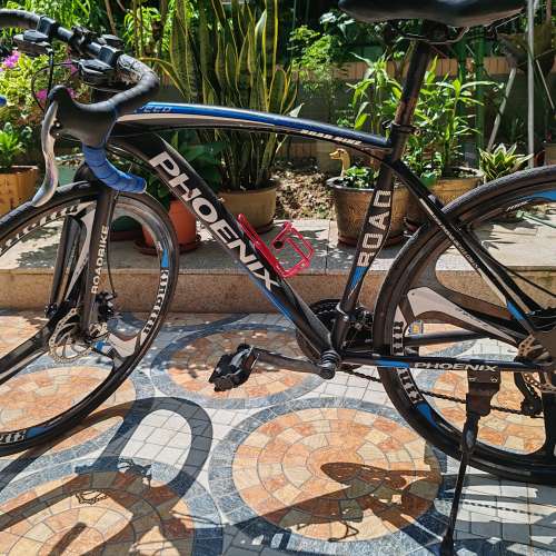 Phoenix Road Bike 公路車