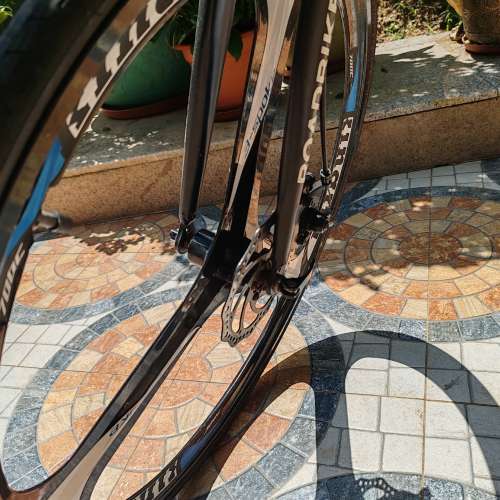 Phoenix Road Bike 公路車