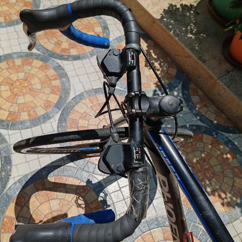 Phoenix Road Bike 公路車