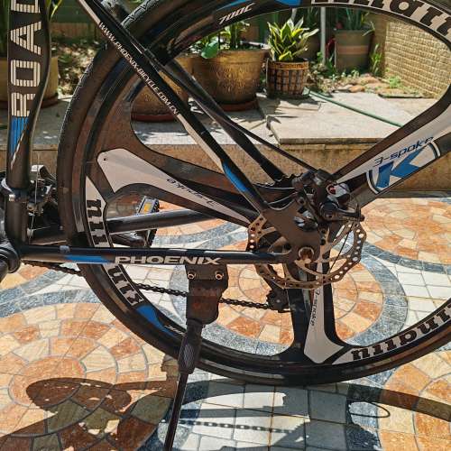 Phoenix Road Bike 公路車