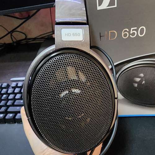 Sennheiser HD650