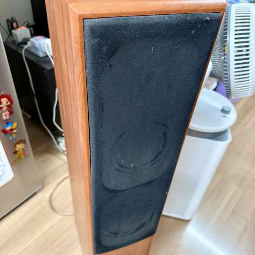 Rogers DS-515 揚聲器