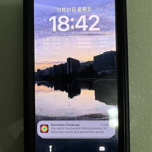 Apple iPhone X 256G 黑