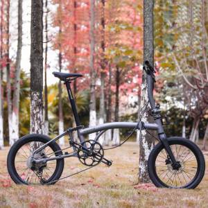 (全新碟剎版超輕鋁布) 2025 ACEOFFIX ​ D10 10速油剎18吋鋁合金折叠車 送前後蛙燈叮...