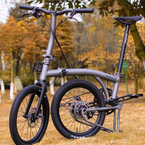 (全新碟剎版超輕鋁布) 2025 ACEOFFIX ​ D10 10速油剎18吋鋁合金折叠車 送前後蛙燈叮...