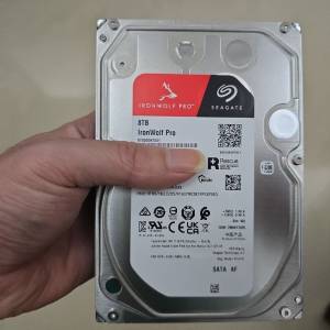 Seagate IronWolf Pro 8TB HDD 硬碟