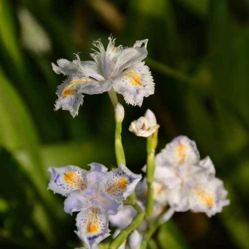 放兩支逾90%新無花無mo及極少少TOKINA AF300mm全程F4大光圈及SIGMA20mm f1.8大光圈...