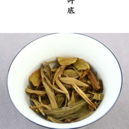 老同志2021年出產 布朗生雲南七子 357g/餅 生茶餅