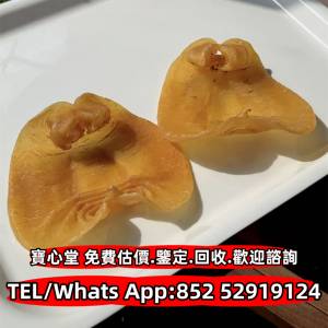 花膠，魚膠，魚肚，老花膠，陳年花膠，白花膠 鳘魚膠，北海母，印尼白花膠，台山赤...