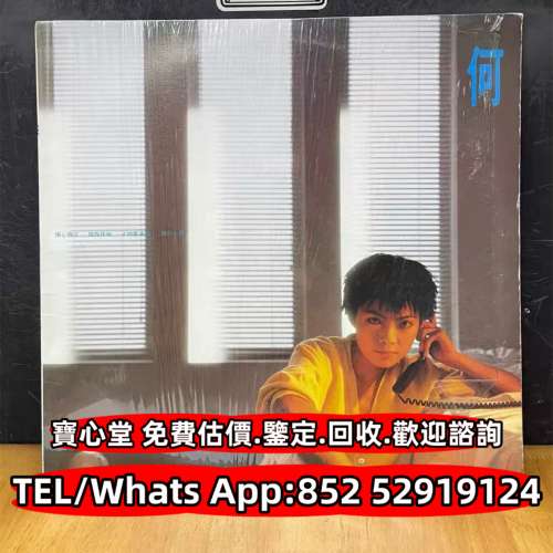 各種黑膠唱片 CD碟 磁帶 鄧麗君黑膠 張國榮黑膠 齊秦黑膠 陳百強黑膠 譚詠麟黑膠 陳...