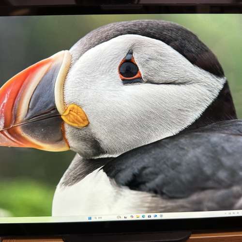 95% New ZSUS 14吋 2K Touch Screen 便攜顯示屏 (2160 x 1440)