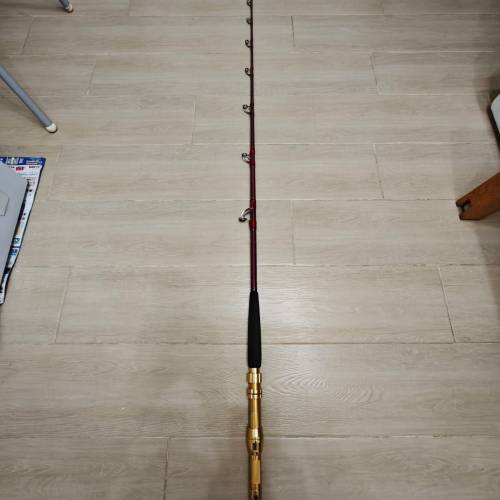 全新Daiwa Deep Zone GS300-205魚竿