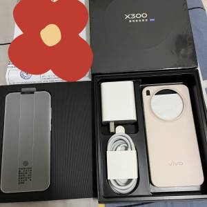 vivo x300
