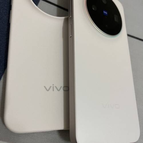 vivo x300