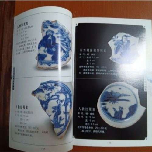 2007 青花瓷片紋飾图鉴