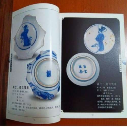 2007 青花瓷片紋飾图鉴