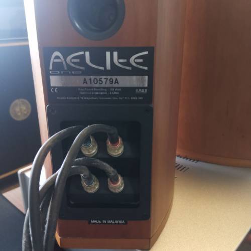 AELIlE ONE   喇叭，連雅琴胆石功放，