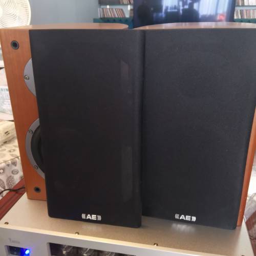AELIlE ONE   喇叭，連雅琴胆石功放，