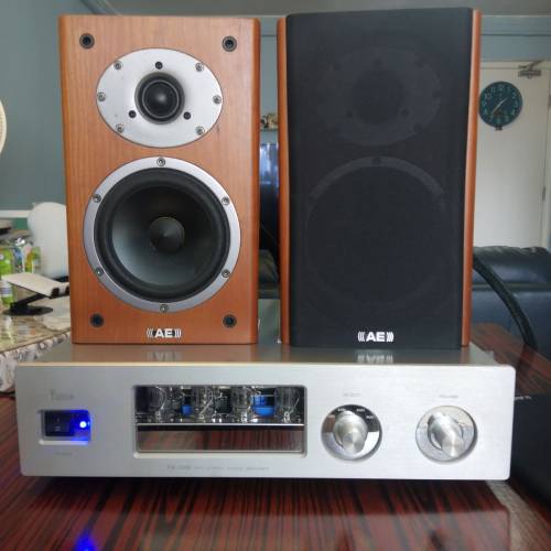 AELIlE ONE   喇叭，連雅琴胆石功放，