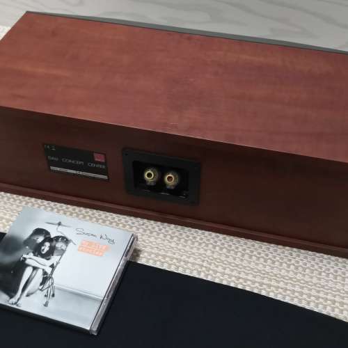 丹麥達尼dali concept  center中置喇叭90%新