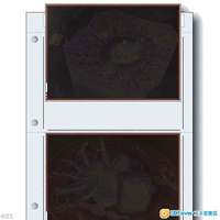 PrintFile 5x7 film preservers