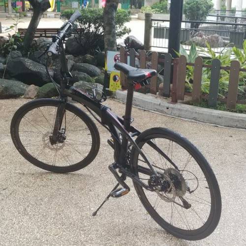 Tern Eclipse 26吋折疊車