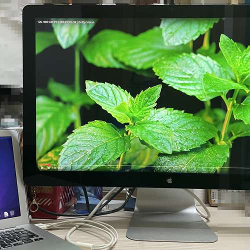 APPLE 27吋 2K LED Cinema Display 顯示器