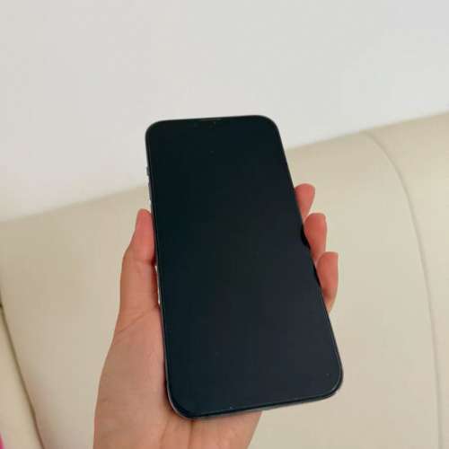 iPhone 13 pro max 1TB  天峰藍，電池效能98 ％，送Magsafe Case及玻璃貼