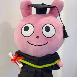 睇下文·文盲勿擾·不轉wtsapp/電話‼️日本西村裕二兔畢業公仔 外遇兔畢業公仔 愛...