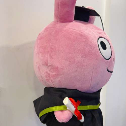 睇下文·文盲勿擾·不轉wtsapp/電話‼️日本西村裕二兔畢業公仔 外遇兔畢業公仔 愛...