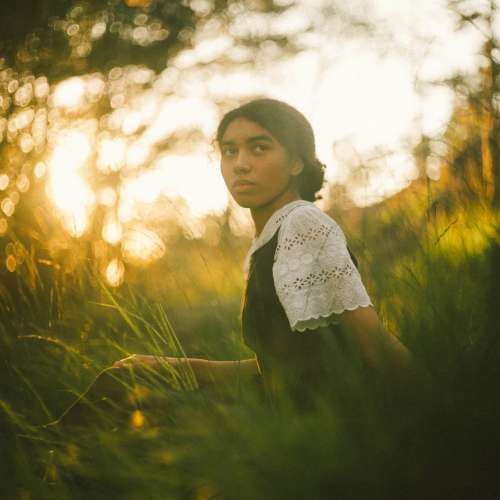 schneider-kreuznach Xenon 8cm f2