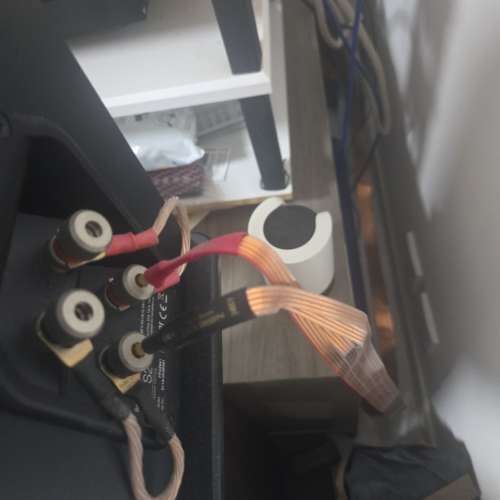 Nordost super flat line 扁铜 喇叭線 1.5M