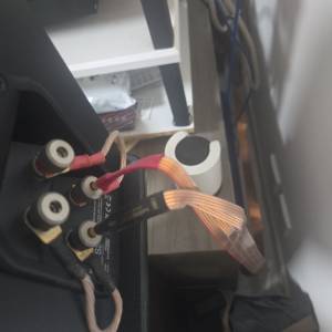 Nordost super flat line 扁铜 喇叭線 1.5M