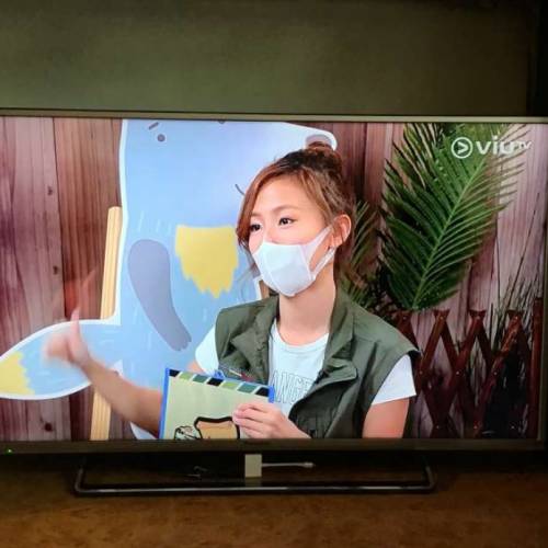 Panasonic 樂聲 42吋 LED全高清智能電視機 smart tv