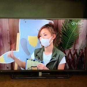 Panasonic 樂聲 42吋 LED全高清智能電視機 smart tv