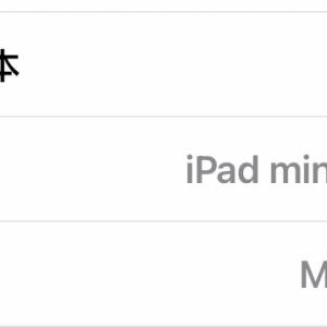 Ipad mini 7 5G 256GB